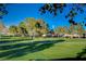 Beautiful view of the golf course with mature trees at 5508 Lochmor Ave, Las Vegas, NV 89130