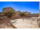 Backyard featuring a patio area and desert landscaping with palm trees and a brick wall at 6365 Diego Dr, Las Vegas, NV 89156
