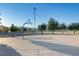 Community basketball court with well-maintained court surface and basketball hoop surrounded by mature trees at 8992 Sparkling River Ct, Las Vegas, NV 89178