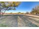 Expansive community green space with mature trees at 8992 Sparkling River Ct, Las Vegas, NV 89178