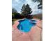 Beautiful backyard pool with a hot tub and privacy landscaping at 3953 Broad Meadow Ct, Las Vegas, NV 89129