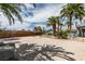 Expansive backyard features a sand volleyball court, mature palm trees and lush landscaping at 6520 Turtle Hill Rd, Las Vegas, NV 89110