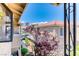 Nice outdoor view featuring a red tree and buildings on a sunny day at 7200 Pirates Cove Rd # 2071, Las Vegas, NV 89145