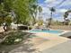 Backyard pool surrounded by mature trees and lush landscaping at 8084 Black Orchid Ave, Las Vegas, NV 89131