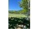 Expansive green space in park, lined with mature trees, offering a peaceful and natural environment at 10381 Walking View Ct, Las Vegas, NV 89135