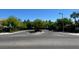 Scenic view of a well-maintained neighborhood street lined with mature trees and lush landscaping at 10381 Walking View Ct, Las Vegas, NV 89135