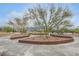 Inviting community park featuring walking paths, mature landscaping, shade trees and park benches at 10664 Mount Jefferson Ave, Las Vegas, NV 89166