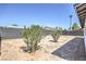 Fenced backyard with oleander shrubs at 4012 Mira Ln, Las Vegas, NV 89108
