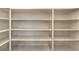 Spacious walk-in pantry offers an abundance of shelving for optimal storage and organization at 89 Oratorio Dr, Henderson, NV 89015