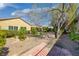 Spacious backyard with mature landscaping, creating a private outdoor retreat at 2295 Otter Rock Ave, Henderson, NV 89044