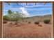Easy-care backyard with desert landscaping, rocks and shrubs at 2571 Thatcher Ave, Henderson, NV 89052