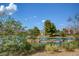 Picturesque pond with waterfall features and lush greenery, framed by trees, creating a serene environment at 2621 Ground Robin Dr, North Las Vegas, NV 89084