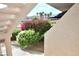 Exterior view of condo's bougainvillea and mountains visible from a covered area at 3740 Desert Marina Dr # 11, Laughlin, NV 89029