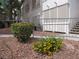 Close up of well-kept landscaping with gravel and colorful bushes at 5241 Caspian Springs Dr # 103, Las Vegas, NV 89120