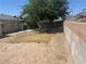 Backyard with tree and overgrown grass at 5424 Del Rey Ave, Las Vegas, NV 89146
