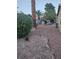 Backyard with rock landscaping, some small trees and a stone barbecue at 7104 Carrondale Way, Las Vegas, NV 89128