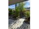 Well maintained backyard featuring mature landscaping at 9641 Windborne Ave, Las Vegas, NV 89147