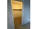 Bedroom closet with shelving and carpeted floor at 9641 Windborne Ave, Las Vegas, NV 89147