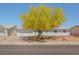 Single story home with desert landscaping and mature shade tree out front at 525 Engel Ave, Henderson, NV 89011