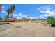 A large backyard with a dirt ground, a wooden fence, tall palm trees, and ample space at 5890 W Patrick Ln, Las Vegas, NV 89118