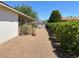 Backyard area features rock landscaping, lush greenery, shade trees, and an inviting patio area at 881 E Calvada Blvd, Pahrump, NV 89048