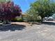 Exterior shot of home featuring lovely trees, rock landscaping, and a lush privacy hedge at 881 E Calvada Blvd, Pahrump, NV 89048