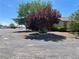 Exterior view of property with mature shade trees, rock landscaping and drought-tolerant shrubbery at 881 E Calvada Blvd, Pahrump, NV 89048
