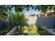 Landscaped backyard with modern block wall, lush greenery, ornamental grasses, and mountain views at 11813 Pippa Ave, Las Vegas, NV 89138