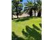 Expansive green lawn is framed by a canopy of mature trees, creating a private yard at 1385 Ringe Ln, Las Vegas, NV 89110