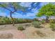 Landscaped backyard with trees, shrubs, and a stone path at 2764 Leys Burnett Ave, Henderson, NV 89044