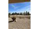 Backyard patio with desert landscaping and a view of mature trees at 3029 Frigate Way, North Las Vegas, NV 89084