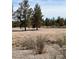 Land for sale with mature trees at 3029 Frigate Way, North Las Vegas, NV 89084