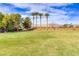 A spacious green field with scattered trees and palm trees offers ample space for activities at 4624 Leon De Oro Dr, Las Vegas, NV 89129