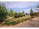 Picturesque backyard featuring landscaping, desert foliage, and a partially covered patio at 5081 Riata Pl, Pahrump, NV 89060