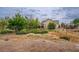 View of backyard with desert landscaping, some grass and fencing around the perimeter at 5081 Riata Pl, Pahrump, NV 89060