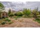 Large, overgrown backyard featuring mature trees and greenery, with a hose on the dry dirt at 5081 Riata Pl, Pahrump, NV 89060