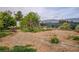 Large, flat backyard with green hose, bordered by tall trees and greenery, with fencing beyond at 5081 Riata Pl, Pahrump, NV 89060