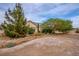 Home exterior showcasing desert landscaping with mature trees, bushes, and plants surrounding the residence at 5081 Riata Pl, Pahrump, NV 89060