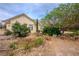 Home exterior showcasing desert landscaping with mature trees, bushes, and various plants surrounding the home at 5081 Riata Pl, Pahrump, NV 89060