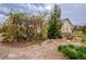 Home with lush outdoor landscaping and mature trees at 5081 Riata Pl, Pahrump, NV 89060
