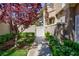 Picture of the side yard featuring mature landscaping, a walkway, and a stucco wall at 8244 Horseshoe Bend Ln, Las Vegas, NV 89113