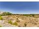 A sprawling backyard featuring desert landscaping, walking path, and views for outdoor enjoyment at 10601 India Hawthorn Ave, Las Vegas, NV 89144