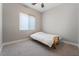 This bedroom features carpet flooring, a window, and a ceiling fan at 12843 New Providence St, Las Vegas, NV 89141