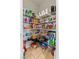 Walk-in pantry with wire shelving filled with food and household supplies at 2932 Tranquil Brook Ave, Henderson, NV 89044
