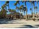 Community basketball court surrounded by mature palm trees, providing an active recreational space for residents at 781 Wigan Pier Dr, Henderson, NV 89002