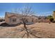 The gravel back yard includes a leafless tree providing shade in the afternoon at 9912 Woodhouse Dr, Las Vegas, NV 89134