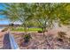 Xeriscaped front yard with drought-resistant plants, offering an attractive and low-maintenance landscape at 1319 Yosemite St, Boulder City, NV 89005