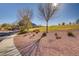 Beautifully landscaped community with mature trees, shrubs, and walking path at 165 Calm Morning Ave, Henderson, NV 89002