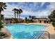 Resort-style community pool with lounge chairs, umbrellas, and lush landscaping at 165 Calm Morning Ave, Henderson, NV 89002