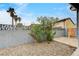 The gravel backyard is enclosed by a block fence with flowering bushes at 2377 Los Feliz St, Las Vegas, NV 89156